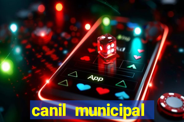 canil municipal porto alegre